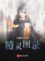 精灵图录全文免费阅读
