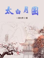 太白入月