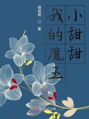 我的魔王我的妻阅读