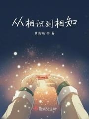 从相识到相知到相爱的经典短句