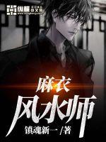 麻衣风水师结局