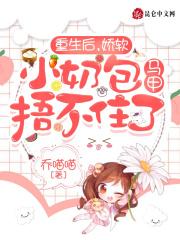 重生后他的小娇夫又甜又软