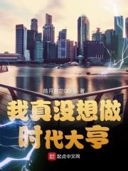 我真的没想做大佬