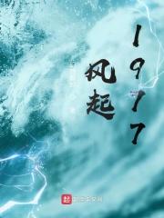风起1981笔趣阁