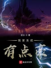 我家的系统好暴躁by北羁