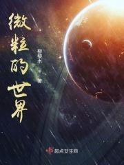 微粒指哪些