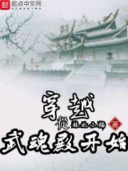 穿越从武魂殿开始棉花