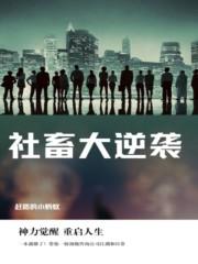 社畜逆袭从小米开始反卷互联免费阅读