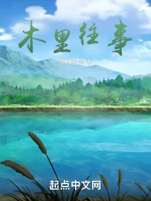 木里大案