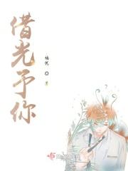 借光什么意思啊?
