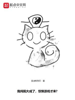 纯阳npc