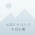 王爷追妻王妃桃花朵朵掐免费有声