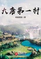 大唐第一村笔趣阁