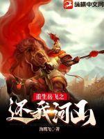 重生之岳飞的