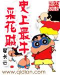 史上最牛采花贼免费阅读