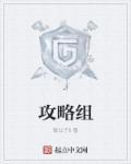 攻略组执行组机动队