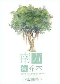 南方有乔木电视剧免费观看