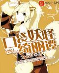口袋妖怪祈奇拉