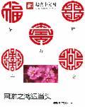 网游洪荒之红绣球全文txt