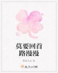 莫回首下一句是什么