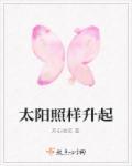 太阳照常升起是长篇吗