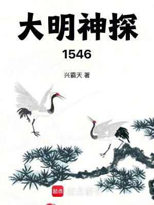 大明神探1546免费观看