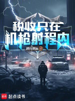 税收只在机枪射程内作者