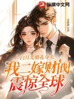 白月光2免费阅读