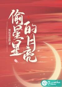 偷星星的月亮歌词完整版