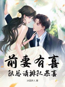 前妻有喜全文免费阅读