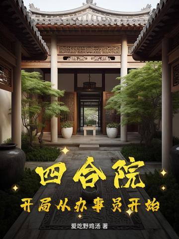 四合院开局从神医开始