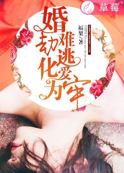婚劫只欢不爱
