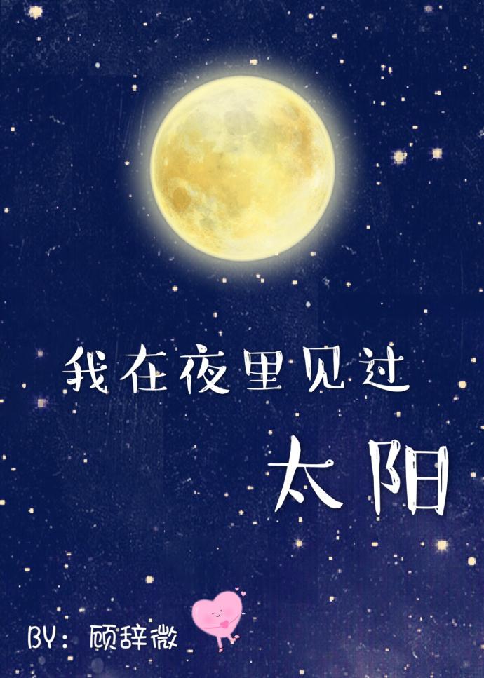我在夜里见过太阳txt