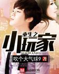 重生之小玩家扫书