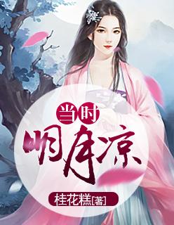 当时明月在简介