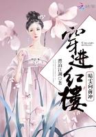 穿越红楼娶晴雯的