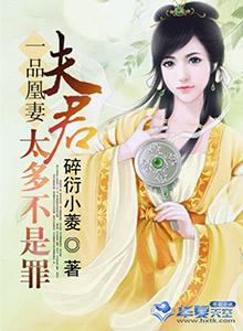 一品仵作 作者凤今