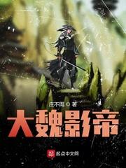 大魏宫廷影视