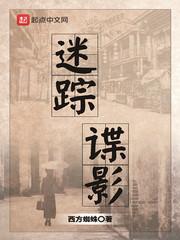 迷踪谍影女主