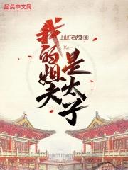 我的姐夫是太子男主几个老婆