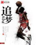 篮球系统流 完结