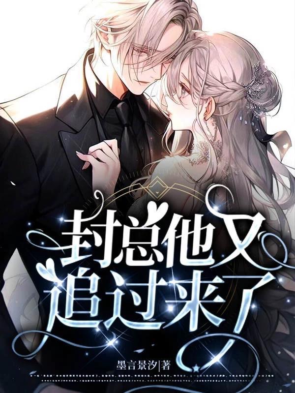 封总裁