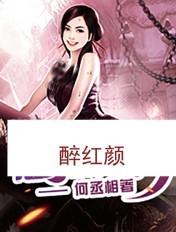 醉红颜的歌词
