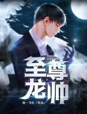 至尊龙帅叶辰最新章节