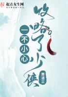 一不小心攻略了男主穿书