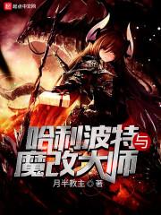 哈利波特修改思路