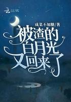 被渣的白月光又穿回来了