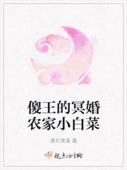傻王的代嫁丑妻全文免费阅读