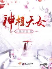 神相天书