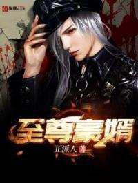 至尊豪婿短剧免费观看全集